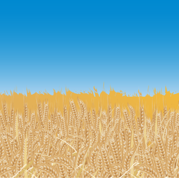 entdecken sie die reiche ukrainische kultur, die durch ihre einzigartigen traditionen, folklore, kunst und gastronomie geprägt ist. tauchen sie ein in die faszinierende welt der ukrainischen bräuche und ihrer historischen wurzeln.