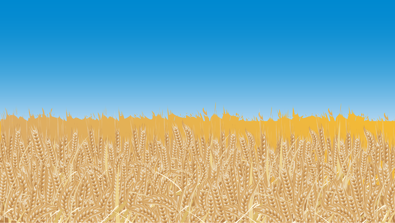 Feier der ukrainischen Kultur: Ein Tag voller Traditionen und Br&auml;uche