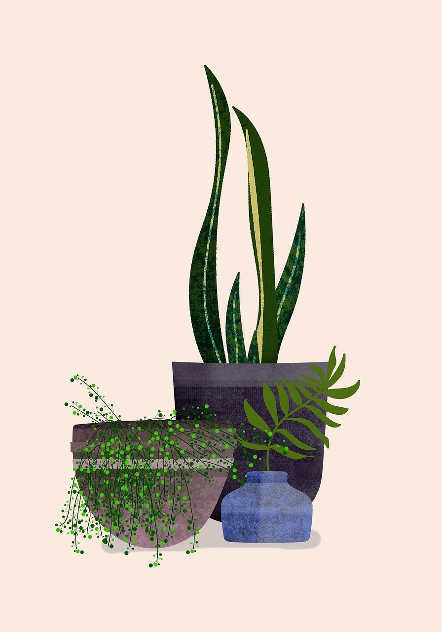 Hobbys: Die Freiheit der Freizeitgestaltung und ihre kreative Unordnung