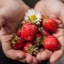 entdecken sie tipps und rezepte für gesunde ernährung! erfahren sie, wie ausgewogene mahlzeiten ihr wohlbefinden steigern und ihnen helfen, fit zu bleiben.