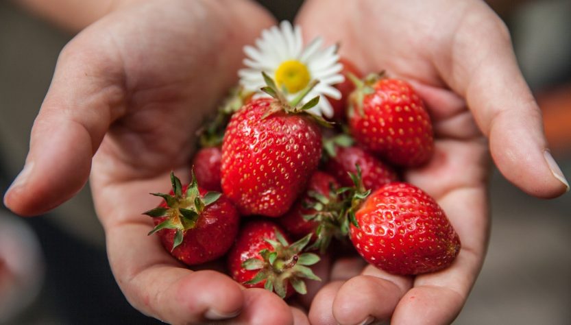 entdecken sie tipps und rezepte für gesunde ernährung! erfahren sie, wie ausgewogene mahlzeiten ihr wohlbefinden steigern und ihnen helfen, fit zu bleiben.
