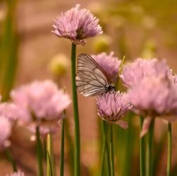 entdecken sie den sommer! erleben sie sonnige tage, entspannte momente im freien und die besten tipps für ihre sommerzeit. alles rund um aktivitäten, mode und genuss in der warmen jahreszeit.