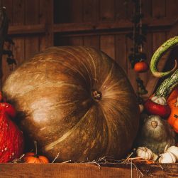 entdecken sie die gesundheitlichen vorteile von kürbiskernen! erfahren sie alles über nährwerte, verwendung in der küche und tipps zur lagerung von kürbiskernen.