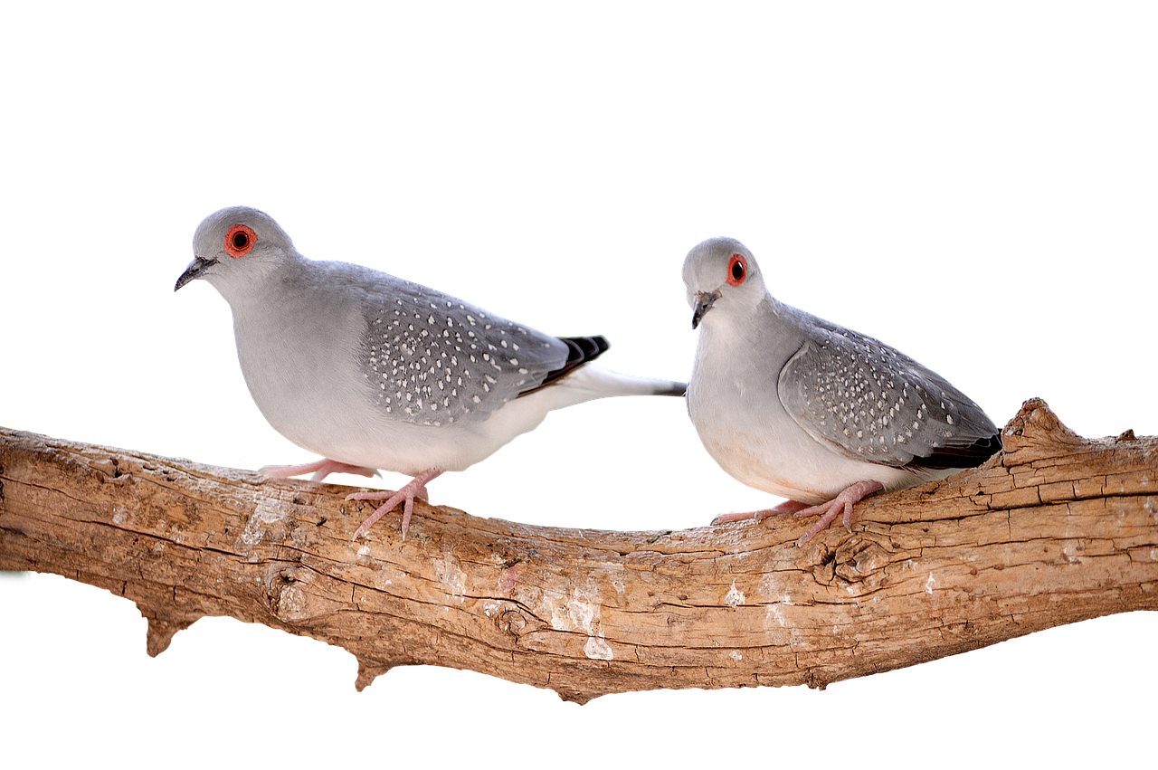 Trauerreisen: Warum Lachen oft den Schmerz &uuml;berwindet