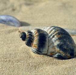 entdecken sie traumhafte urlaubsziele, hilfreiche reisetipps und inspirationen für ihre nächste reise. planen sie jetzt ihren perfekten urlaub und erleben sie unvergessliche momente!