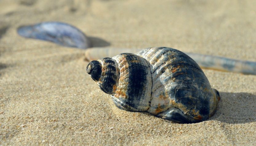 entdecken sie traumhafte urlaubsziele, hilfreiche reisetipps und inspirationen für ihre nächste reise. planen sie jetzt ihren perfekten urlaub und erleben sie unvergessliche momente!
