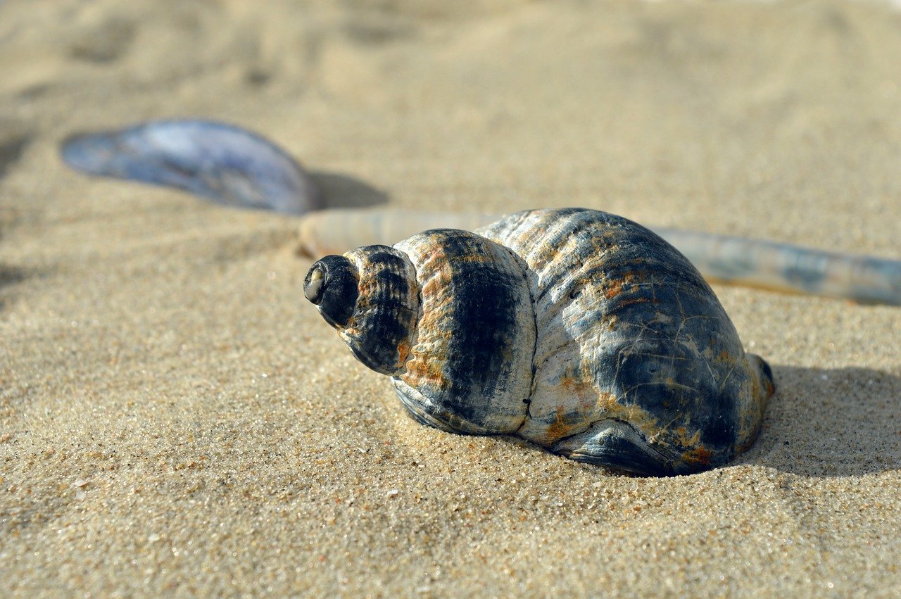 Urlaub in der Schlecht-Wetter-Zone? So verwandeln Sie ungem&uuml;tliche Tage in unvergessliche Erlebnisse!