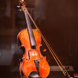entdecken sie faszinierende ausstellungen und beeindruckende sammlungen im museum. erleben sie geschichte, kunst und kultur hautnah für die ganze familie.