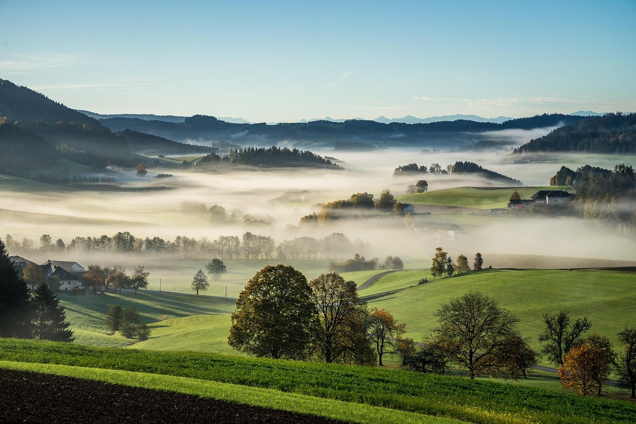 erleben sie einen unvergesslichen kulturellen sommer voller spannender veranstaltungen, inspirierender kunst und unvergesslicher erlebnisse. tauchen sie ein in die vielfalt der kultur und genießen sie unzählige festivals, konzerte und ausstellungen in dieser lebendigen jahreszeit.
