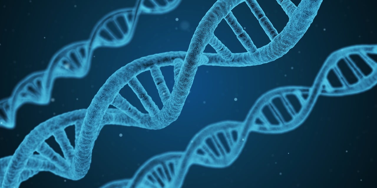 entdecken sie die neuesten wirtschaftlichen erkenntnisse, innovationen und trends, die die globale wirtschaft und unternehmen heute beeinflussen. erfahren sie mehr über aktuelle wirtschaftliche entdeckungen.