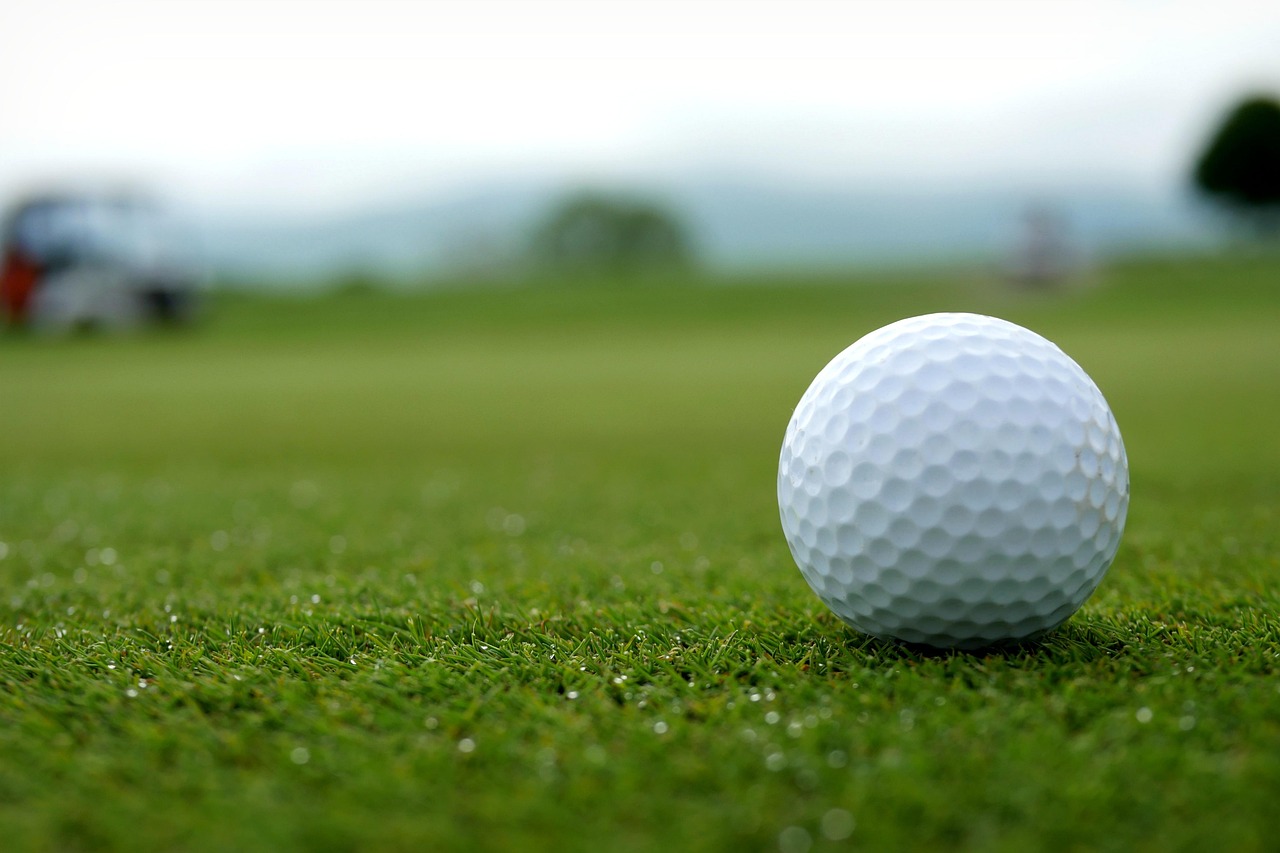 erleben sie exklusive vorteile mit einer golfclub-mitgliedschaft: zugang zu erstklassigen plätzen, turnieren und einem aktiven clubleben. jetzt mitglied werden und das golfspiel genießen!