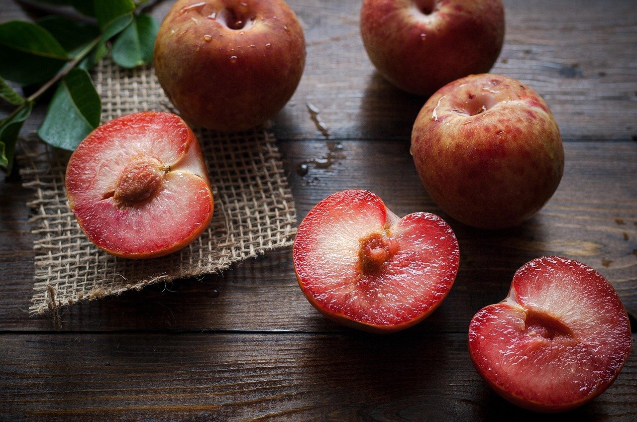 entdecken sie wertvolle tipps und informationen rund um gesunde ernährung. erfahren sie, wie ausgewogene mahlzeiten ihre gesundheit fördern und ihr wohlbefinden steigern können.