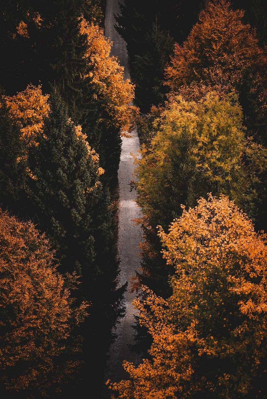entdecken sie die besten wanderwege und genießen sie die natur bei unvergesslichen wanderabenteuern. erfahren sie alles über tipps, ausrüstung und die schönsten wanderziele in deutschland.