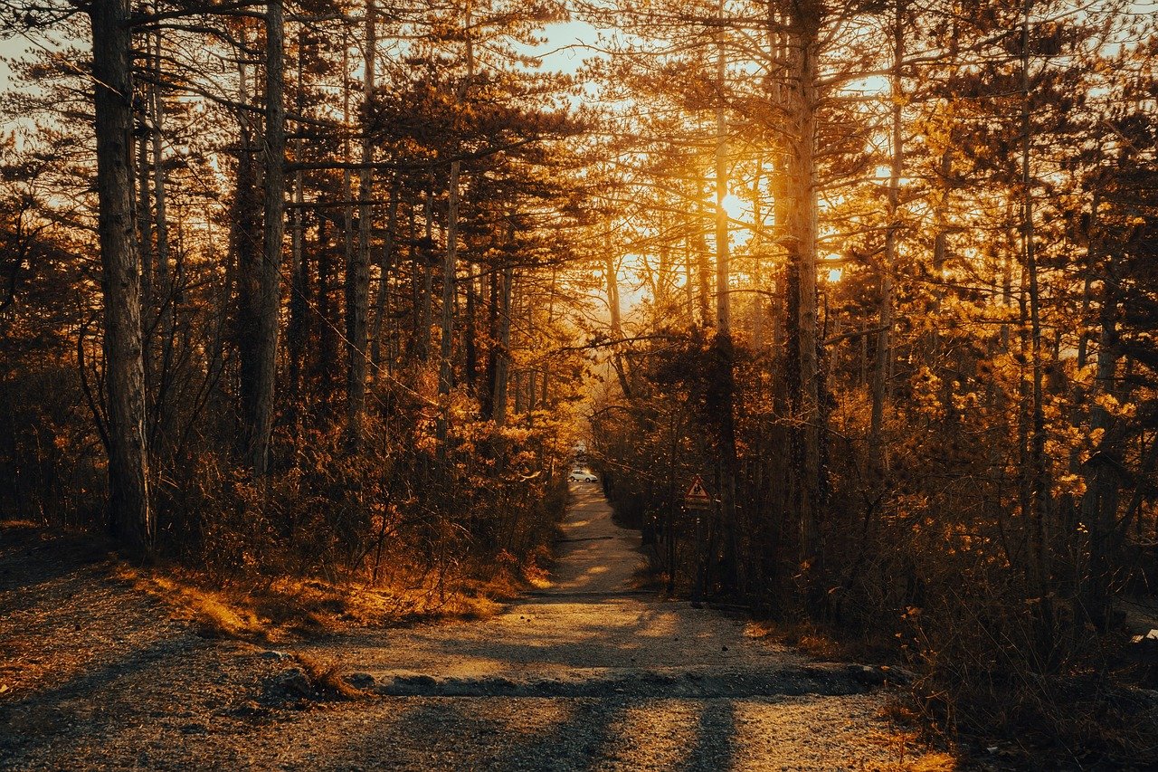 entdecken sie die besten wanderrouten und genießen sie atemberaubende landschaften. egal ob anfänger oder profi, unsere tipps und guides helfen ihnen, ihr nächstes abenteuer in der natur zu planen.