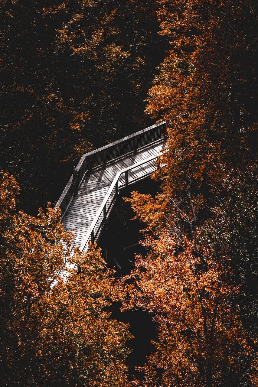entdecken sie die besten wanderwege und genießen sie die natur beim wandern. tipps, routen und ausrüstung für unvergessliche wandererlebnisse in den schönsten landschaften.