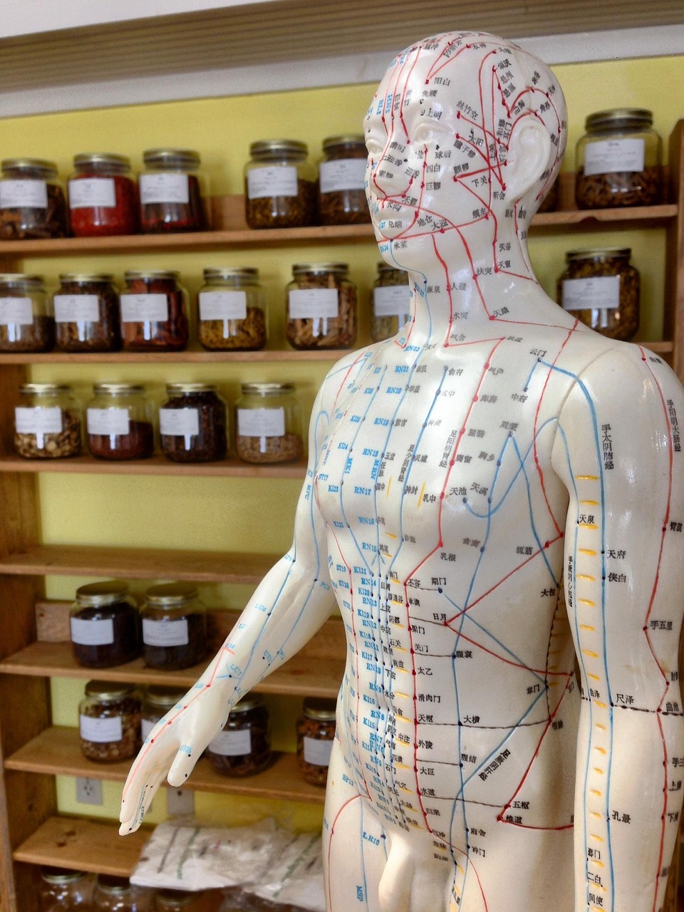 entdecken sie ganzheitliche gesundheit: erfahren sie, wie körper, geist und seele im einklang zu mehr wohlbefinden führen. tipps, methoden und inspirationen für ein gesundes, glückliches leben.