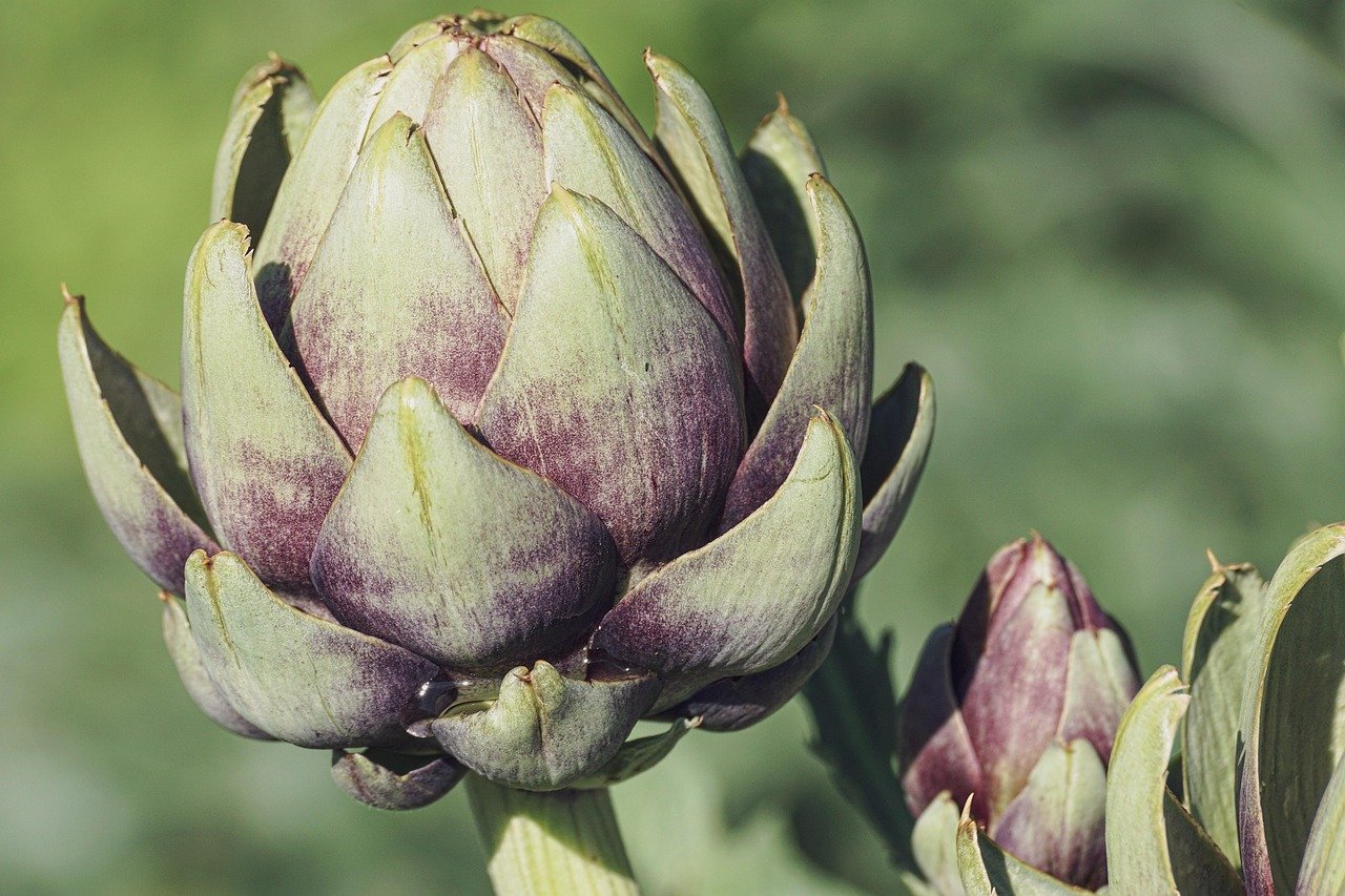 entdecken sie die grundlagen der ernährung und erfahren sie, wie sie gesunde essgewohnheiten in ihren alltag integrieren können. tipps, rezepte und mehr für ein ausgewogenes leben.