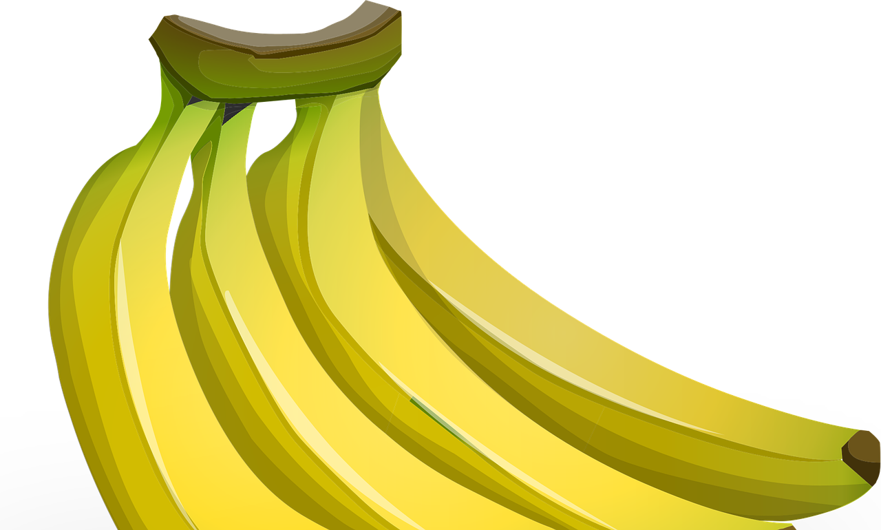 entdecken sie die welt der ernährung: tipps, rezepte und wissenschaftliche erkenntnisse für eine ausgewogene ernährung und ein gesundes leben.