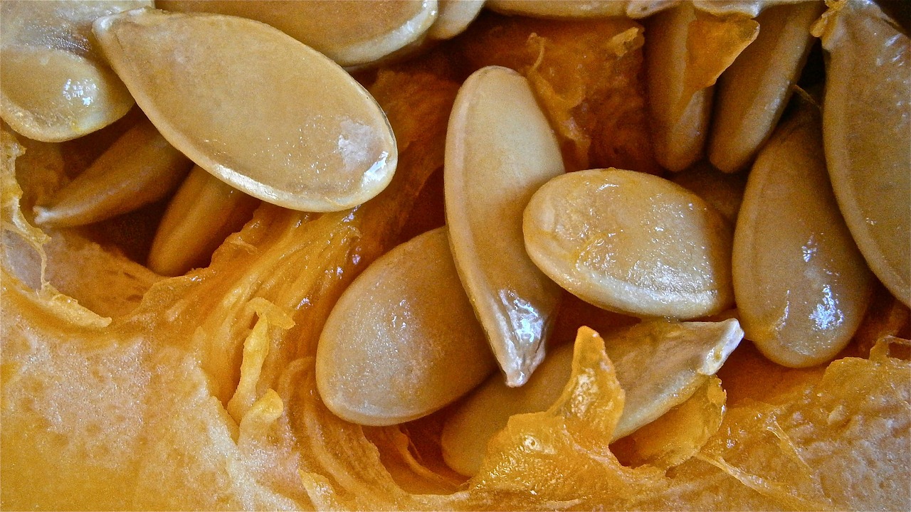 entdecken sie die vielseitigen kürbiskerne: gesund, reich an nährstoffen und perfekt als snack, im müsli oder zum backen. alles über wirkung, verwendung und rezepte rund um kürbiskerne.