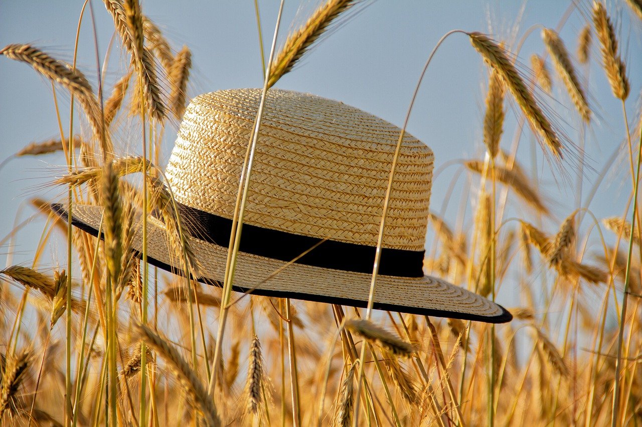 entdecke den perfekten sommer! tipps, aktivitäten und inspirationen für sonnige tage, warme abende und unvergessliche erlebnisse in der schönsten jahreszeit.