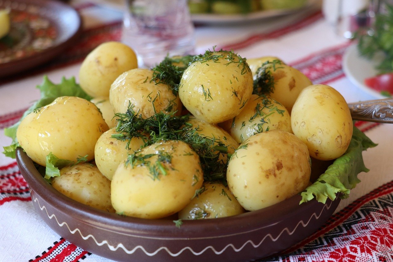 entdecken sie die reiche und vielfältige ukrainische kultur, die sich durch traditionelle bräuche, lebendige kunst, beeindruckende musik und köstliche gastronomie auszeichnet. tauchen sie ein in die faszinierenden geschichten, feste und originellen handwerke der ukraine.
