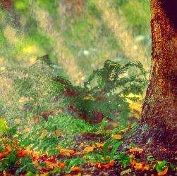 erfahren sie alles über heatwaves: ursachen, auswirkungen und wie sie sich vor extremen hitzewellen schützen können. praktische tipps und aktuelle informationen rund um das wetterphänomen.