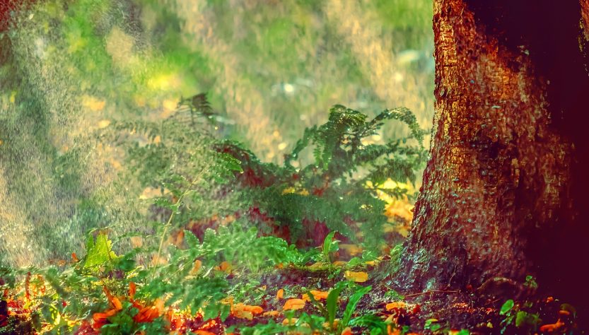 erfahren sie alles über heatwaves: ursachen, auswirkungen und wie sie sich vor extremen hitzewellen schützen können. praktische tipps und aktuelle informationen rund um das wetterphänomen.
