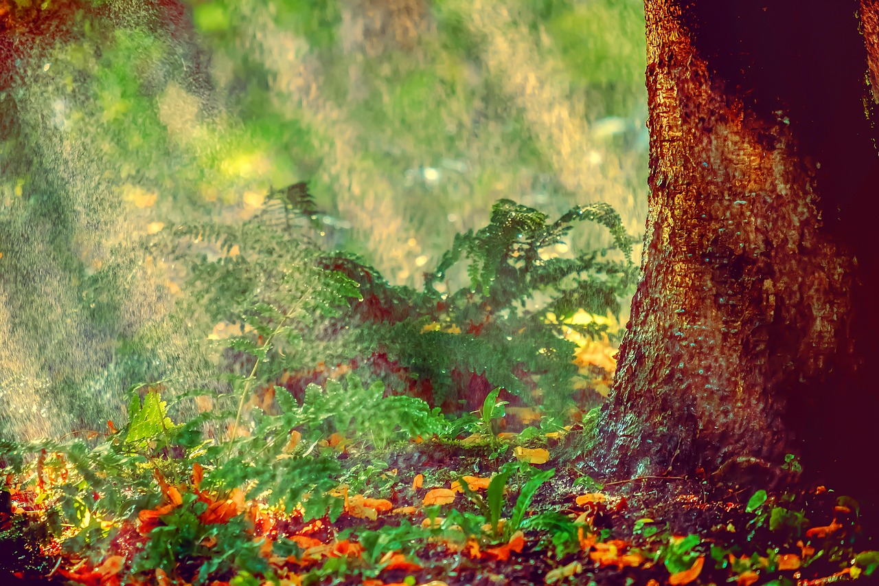 Die Folgen von Hitzewellen auf die Gesundheit: Ein w&ouml;chentlicher Bericht &uuml;ber hitzebedingte Todesf&auml;lle