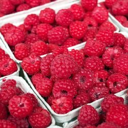 entdecken sie auf dem harvest market frische, regionale produkte direkt vom bauern. genießen sie eine große auswahl an bio-gemüse, obst und spezialitäten in bester qualität.