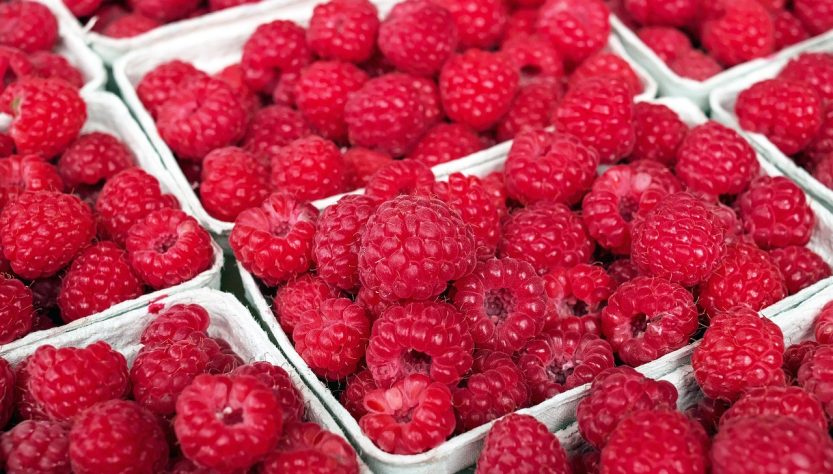 entdecken sie auf dem harvest market frische, regionale produkte direkt vom bauern. genießen sie eine große auswahl an bio-gemüse, obst und spezialitäten in bester qualität.