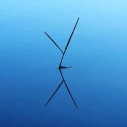 entdecken sie die highlights: die wichtigsten neuigkeiten, trends und besonderen höhepunkte aus ihrer branche. lassen sie sich inspirieren und bleiben sie immer auf dem laufenden!