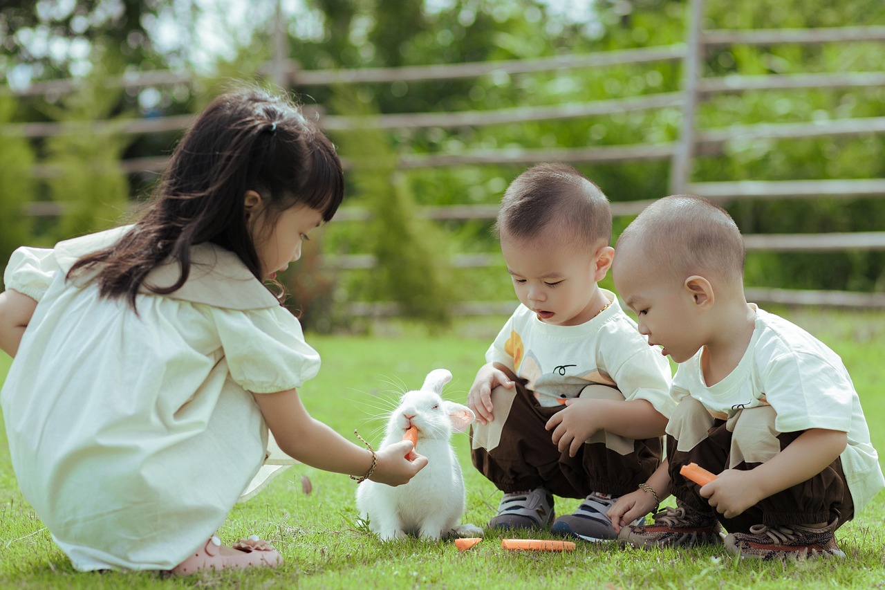 entdecken sie spannende und lehrreiche inhalte für kinder: spiele, lernmaterialien und aktivitäten, die die entwicklung und kreativität ihres kindes fördern.