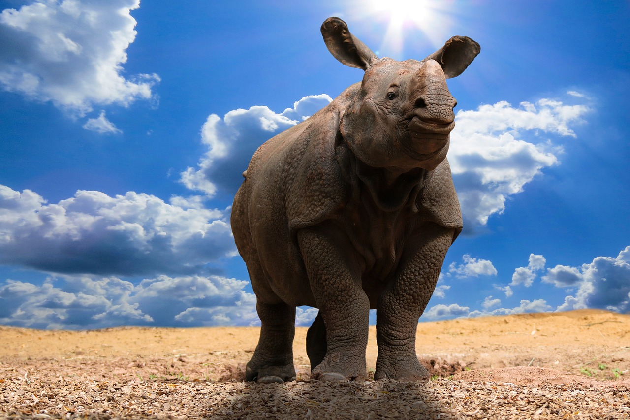 erfahren sie mehr über den klimawandel, seine ursachen, auswirkungen und wie wir gemeinsam unseren planeten schützen können. aktuelle fakten und tipps zum umwelt- und klimaschutz.