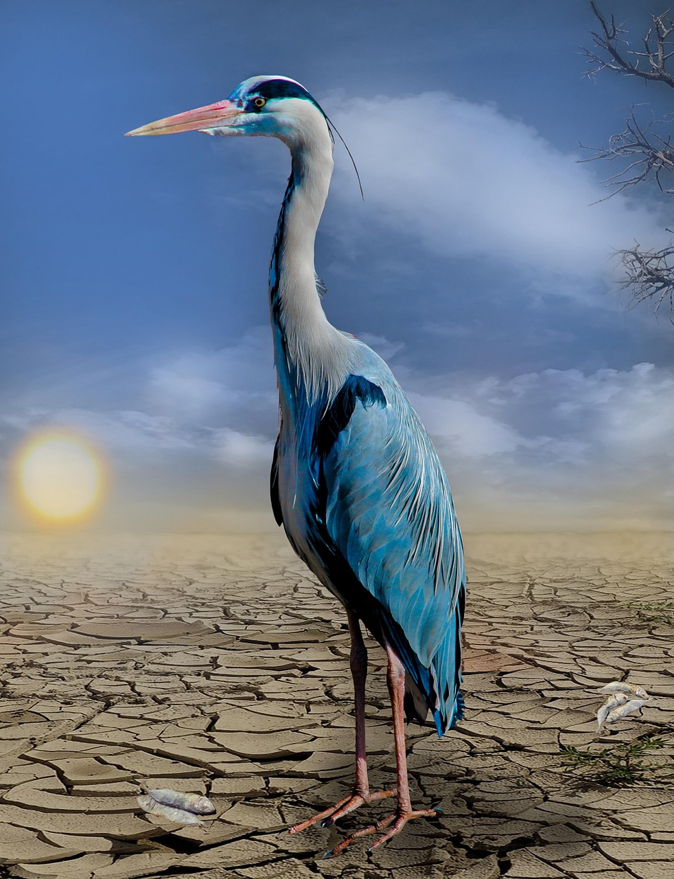 erfahren sie alles über den klimawandel: ursachen, folgen und wie wir gemeinsam zum schutz unseres planeten beitragen können. bleiben sie informiert mit aktuellen nachrichten und tipps für mehr nachhaltigkeit.