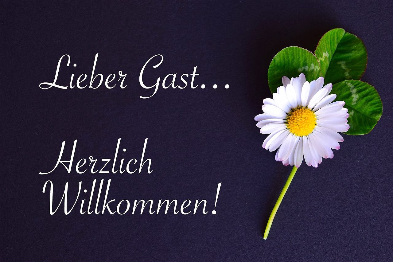 entdecken sie alle wichtigen informationen und tipps, um gäste willkommen zu heißen, unvergessliche erlebnisse zu schaffen und ihre gastgeberqualitäten zu verbessern.