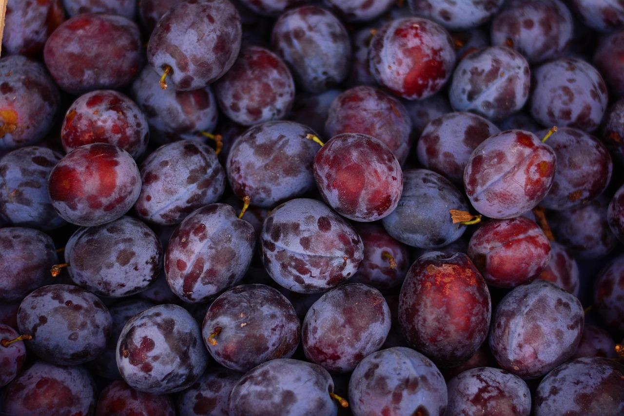 entdecken sie frische produkte, saisonale angebote und hochwertige lebensmittel auf dem harvest market. ihr ziel für erstklassigen genuss, regionale spezialitäten und nachhaltigen einkauf – jetzt informieren!