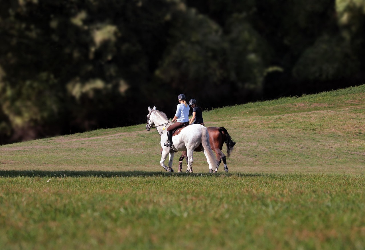 entdecken sie die faszinierende welt des hobby horsing! erfahren sie alles über den beliebten sport, tipps zur ausrüstung und wie sie selbst einsteigen können. perfekt für pferdefans jeden alters.