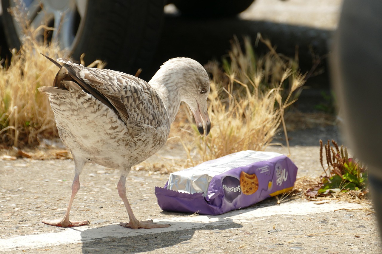 entdecken sie, was mikroplastik ist, wie es entsteht, seine auswirkungen auf umwelt und gesundheit sowie aktuelle forschung und lösungsansätze rund um das thema mikroplastik.