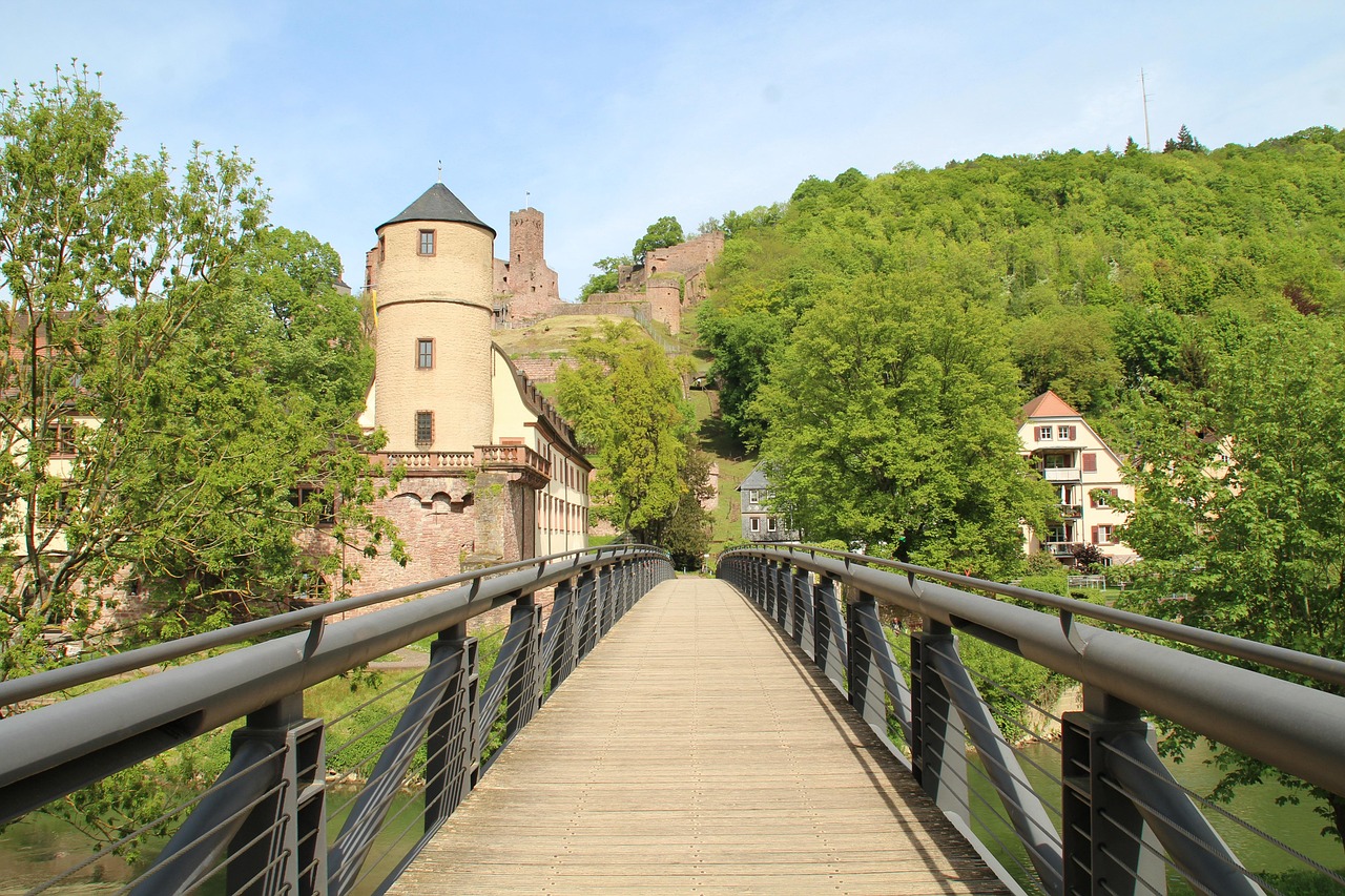 entdecken sie wertheim – eine charmante stadt am zusammenfluss von tauber und main. erleben sie die mittelalterliche altstadt, die imposante burg wertheim und genießen sie regionale spezialitäten in malerischer umgebung.
