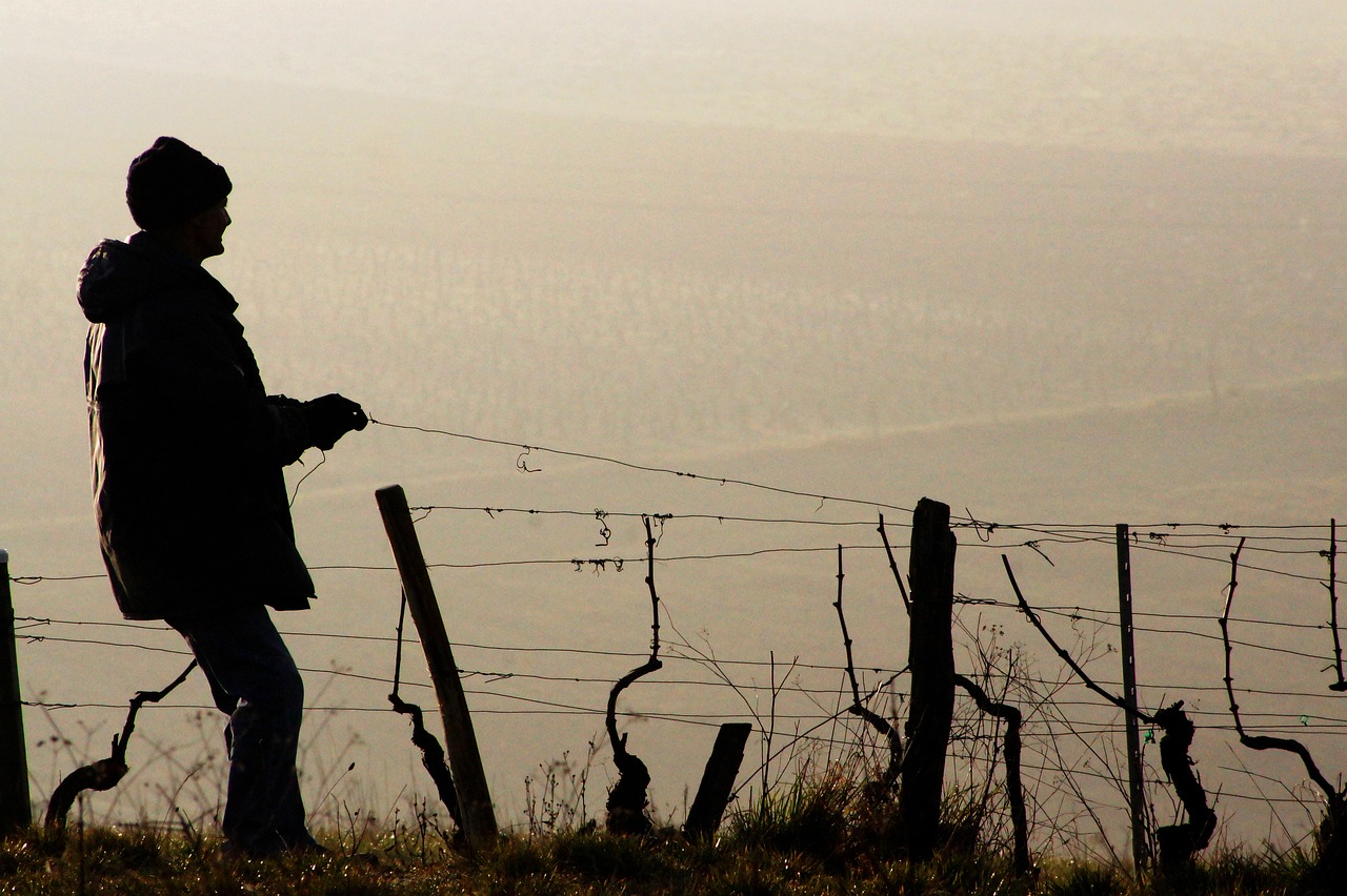 entdecken sie die faszinierende welt der winzer: erfahren sie alles über traditionelle und moderne methoden des weinanbaus, weingüter und die leidenschaft hinter dem edlen tropfen.