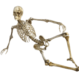 entdecken sie, was es bedeutet, menschlich zu sein – eigenschaften, fähigkeiten und die bedeutung von humanität im alltag. alles wichtige rund um das thema mensch.