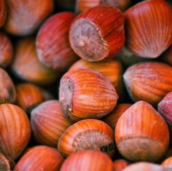 entdecken sie alles über protein – essentielle nährstoffe, wichtige funktionen für den körper, lebensmittelquellen und tipps für eine ausgewogene ernährung. perfekt für sportler und gesundheitsbewusste!
