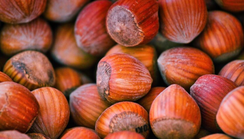 entdecken sie alles über protein – essentielle nährstoffe, wichtige funktionen für den körper, lebensmittelquellen und tipps für eine ausgewogene ernährung. perfekt für sportler und gesundheitsbewusste!