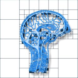 erfahren sie alles wichtige über demenz: ursachen, symptome, diagnose und behandlungsmöglichkeiten. hilfreiche tipps für betroffene und angehörige zur besseren bewältigung des alltags.