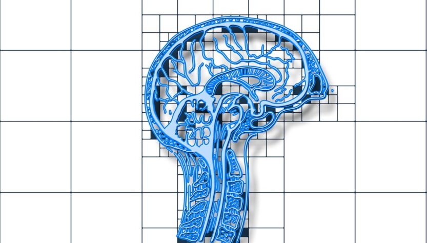 erfahren sie alles wichtige über demenz: ursachen, symptome, diagnose und behandlungsmöglichkeiten. hilfreiche tipps für betroffene und angehörige zur besseren bewältigung des alltags.