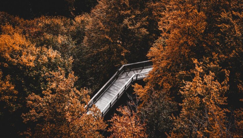 entdecken sie, wie achtsamkeit ihr wohlbefinden steigern kann. erfahren sie mehr über techniken, vorteile und praktische tipps für mehr gelassenheit im alltag.