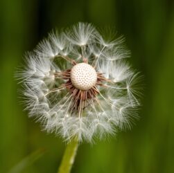 entdecken sie die bedeutung von resilienz und erfahren sie, wie sie ihre innere widerstandskraft stärken können, um herausforderungen im alltag besser zu meistern.