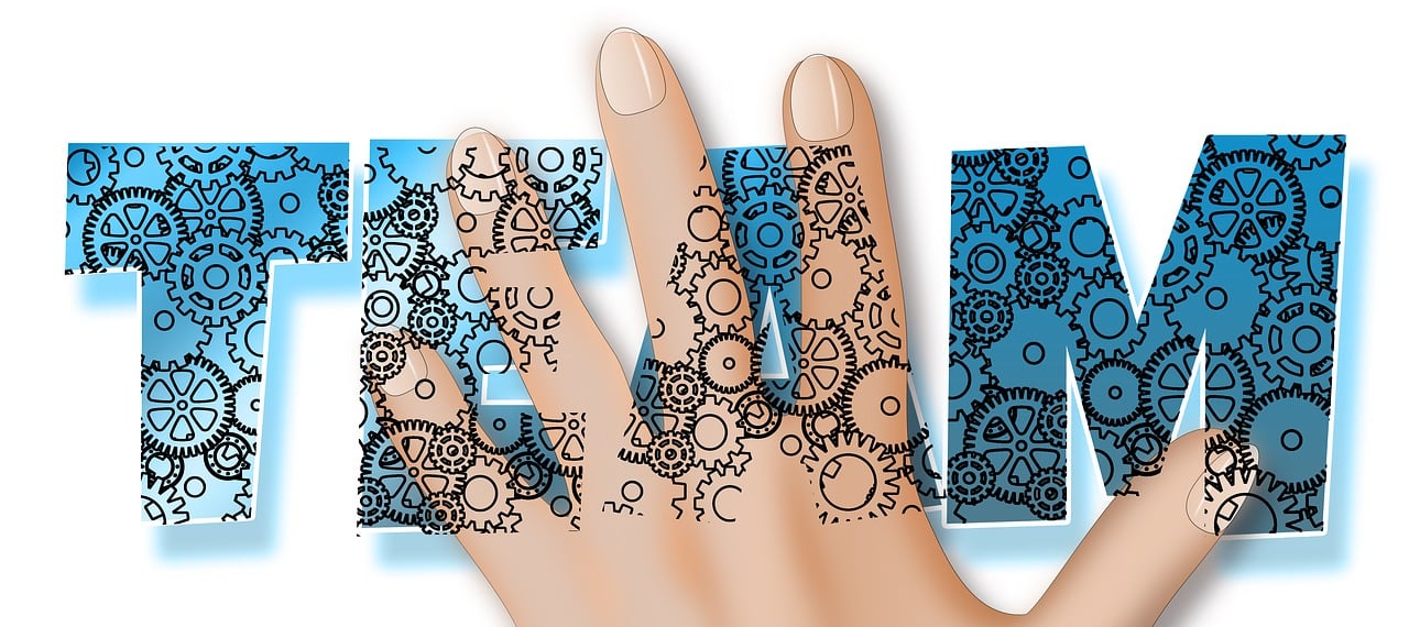 Kulturelle Strategien und ihre Bedeutung f&uuml;r die Gesellschaft