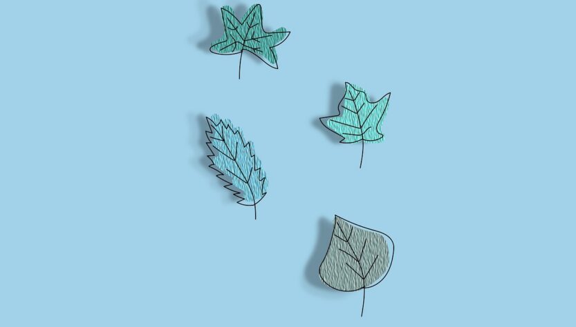 entdecken sie die faszinierende welt des zeichnens: tipps, techniken und inspirationen für anfänger und fortgeschrittene, um ihre kreativität auf papier zum ausdruck zu bringen.