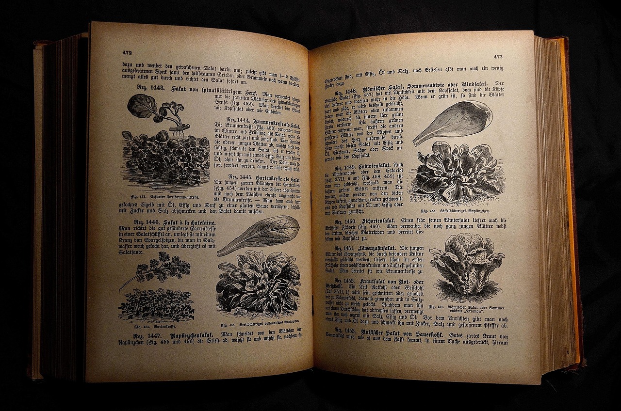entdecken sie unsere vielfältige auswahl an kochbüchern – von klassischen rezepten bis hin zu modernen küchenideen. perfekt für jeden geschmack und anlass!